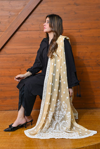 Chiffon Dupatta