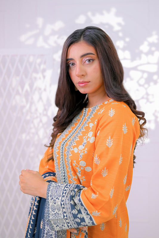 3 PCS | UNSTITCHED | PRINTED KHADDAR