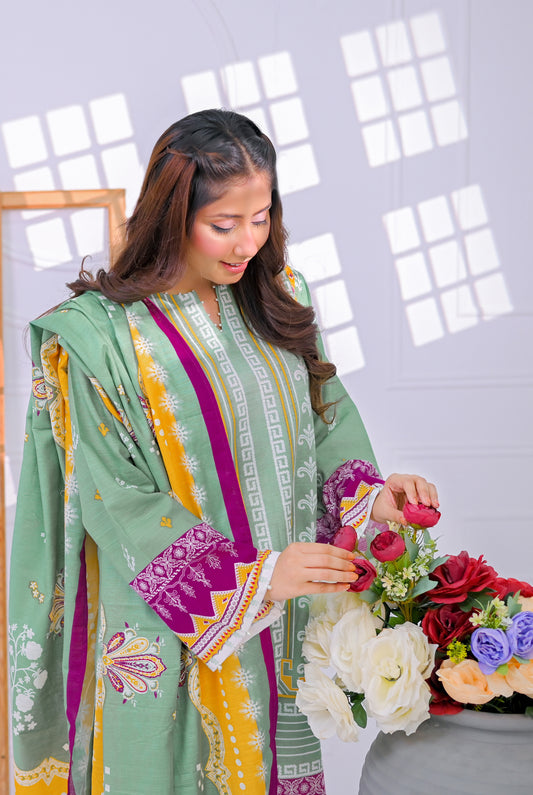 3 PCS | UNSTITCHED | PRINTED KHADDAR