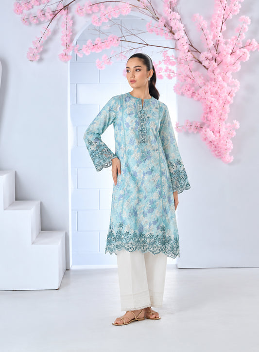 2 Piece - Embroidered Dyed Lawn Suit