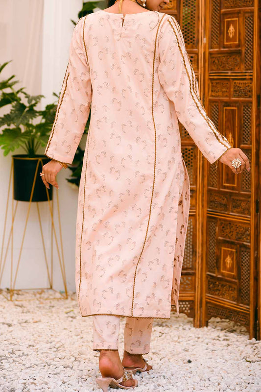 Dhanak in Blush Pink | RTW | 2Pcs