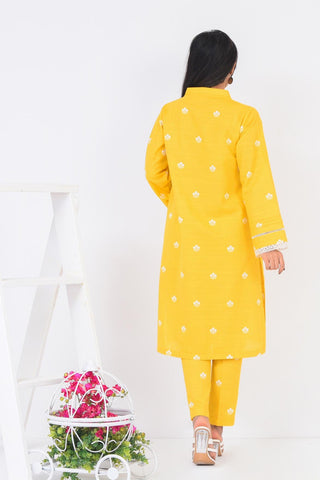 2 Pc | Unstitched | Khaddar Shirt & Trouser